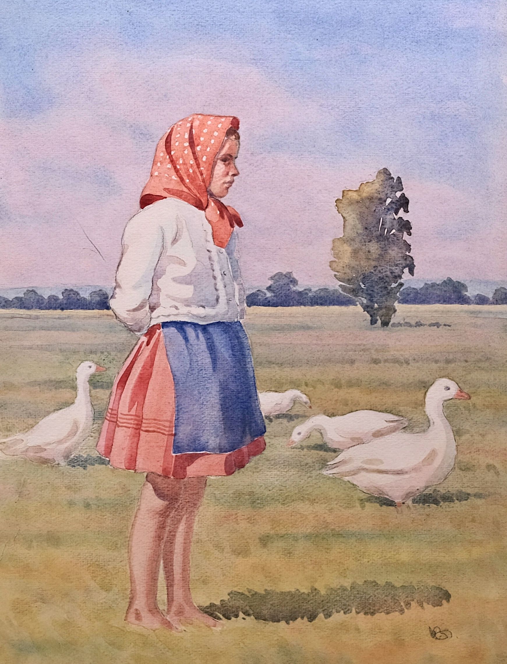 Karel Božek – Husopaska