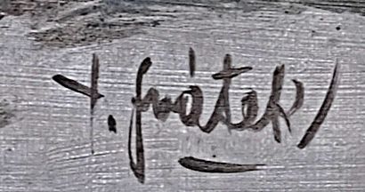 T. Svátek – Muž ze Staré Břeclavi v kožuchu