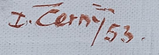 Dan Černý – Šohaj