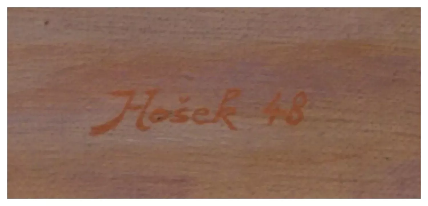 Hošek – Verbíři z Lanžhota