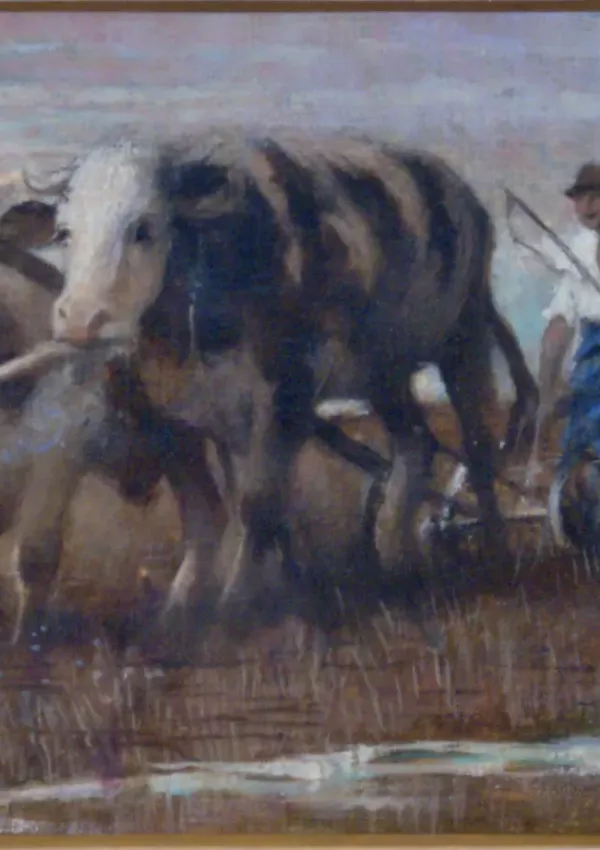 Robert Schlosser – Oráč z Kostic