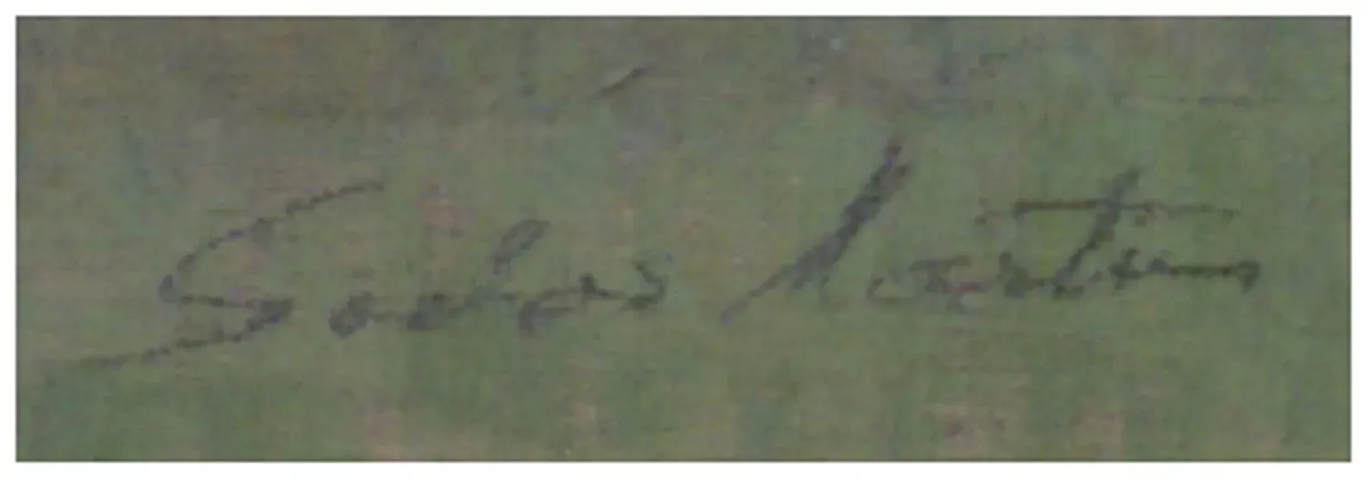 Martin Sochor – Taneční zábava ve Strážnickém areálu