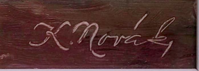 Karel Novák – Po muzice na Podluží