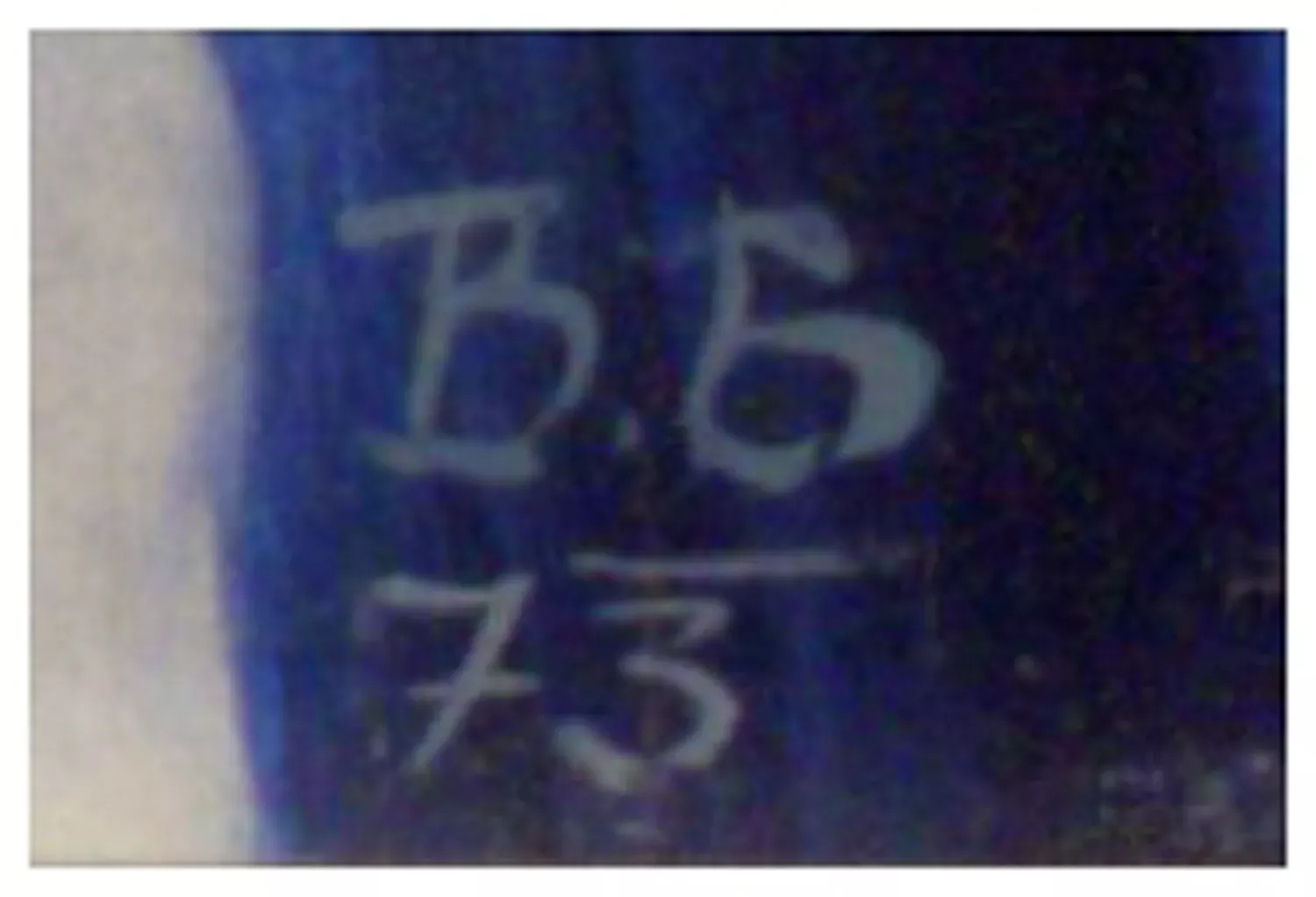 Bohumil Bortlík – Hodová chasa