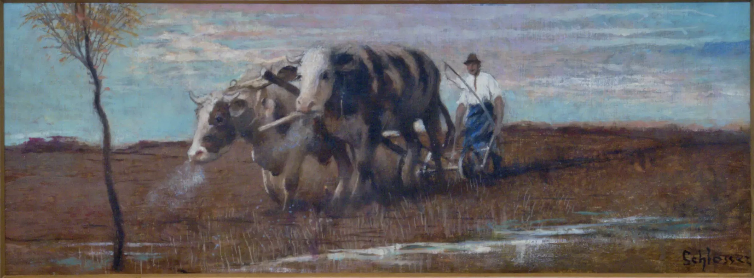 Robert Schlosser – Oráč z Kostic