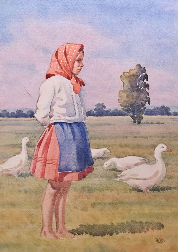 Karel Božek – Husopaska