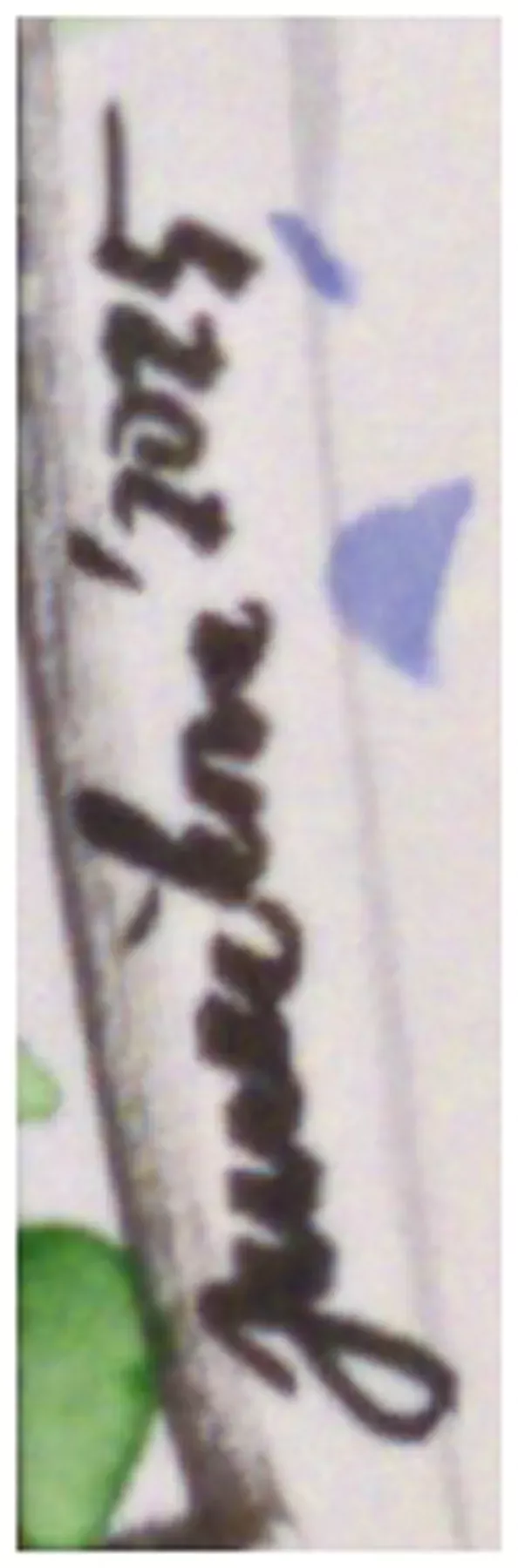 Lenka Jurečková – Studie Podlužácká svatba 2