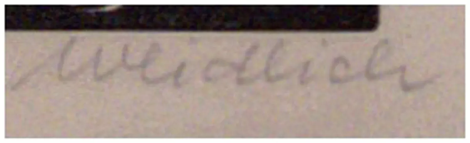 Eugen Weidlich –  Selská jízda