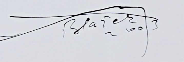 Jaroslav Blažek – Děvče v rožkách