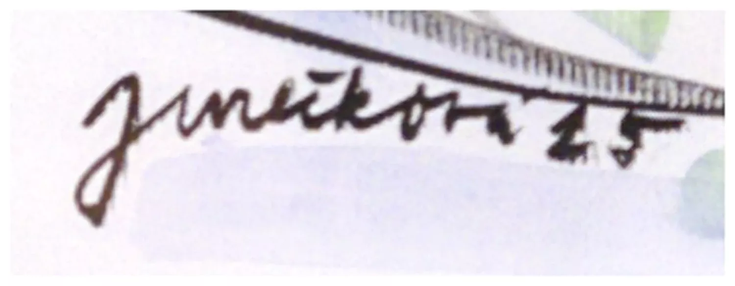 Lenka Jurečková – Studie Podlužácká svatba 7