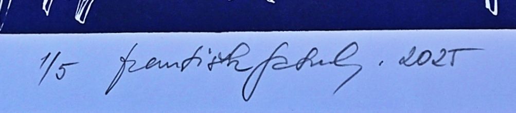 František Schulz – Děvče v rožkách