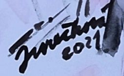 Lenka Jurečková – Pod šable